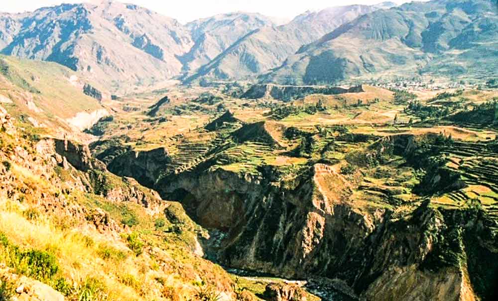 img-Expedition to Colca Canyon & Condor Cross  - Chivay - Puno