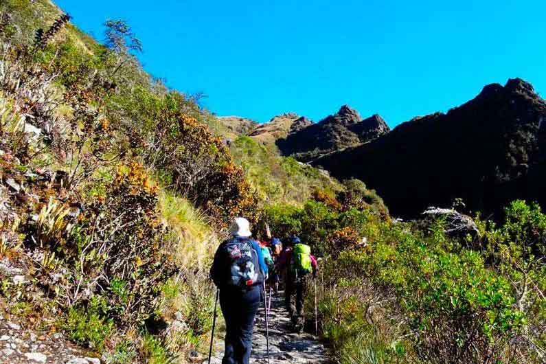img-Trekking - Wayllabamba to Pacaymayuc / Runcuracay