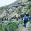 Camino selva en la ruta salkantay