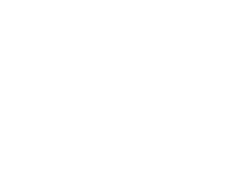 Best of the best 2026