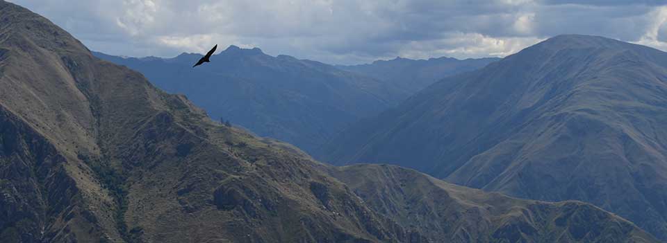 Flight of Condor, Cusco in 1 day