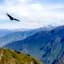 day 8 - COLCA CANYON / CONDOR CROSS / PUNO