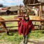 Visita a la casa de llamas en Chincheros